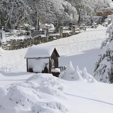 Chalet Cota 1500 - 51 - *