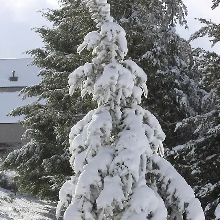 Dağ evi Cota 1500 - Chale 51 - Penhas da Saúde