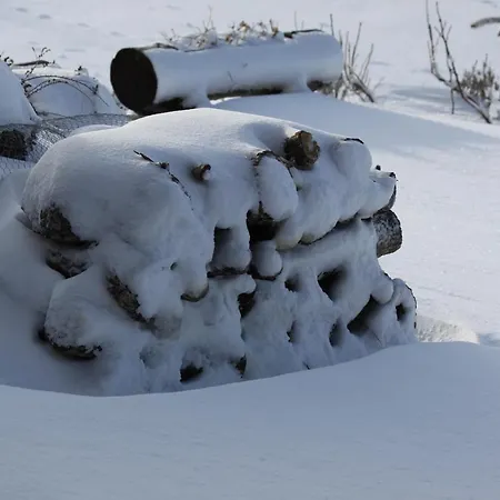 Dağ evi Cota 1500 - Chale 51 - Penhas da Saúde