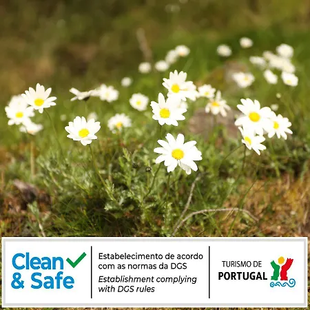 Cota 1500 - Chale 51 - Dağ evi *