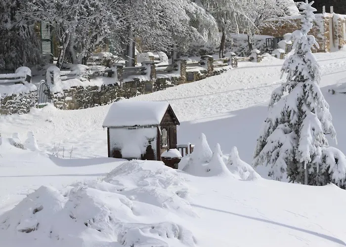 シャレー Cota 1500 - Chale 51 - *