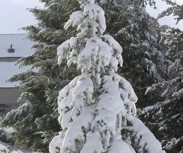 シャレー Cota 1500 - Chale 51 - Penhas da Saúde