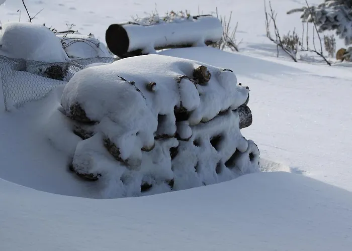 Chalet Cota 1500 - 51 - Penhas da Saúde