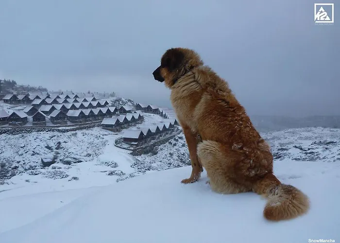 Cota 1500 - 51 - Chalet Penhas da Saúde