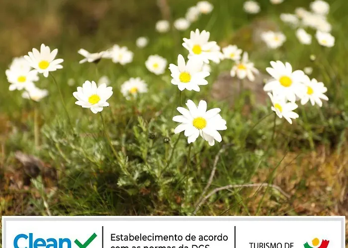 Cota 1500 - 51 - Chalet *